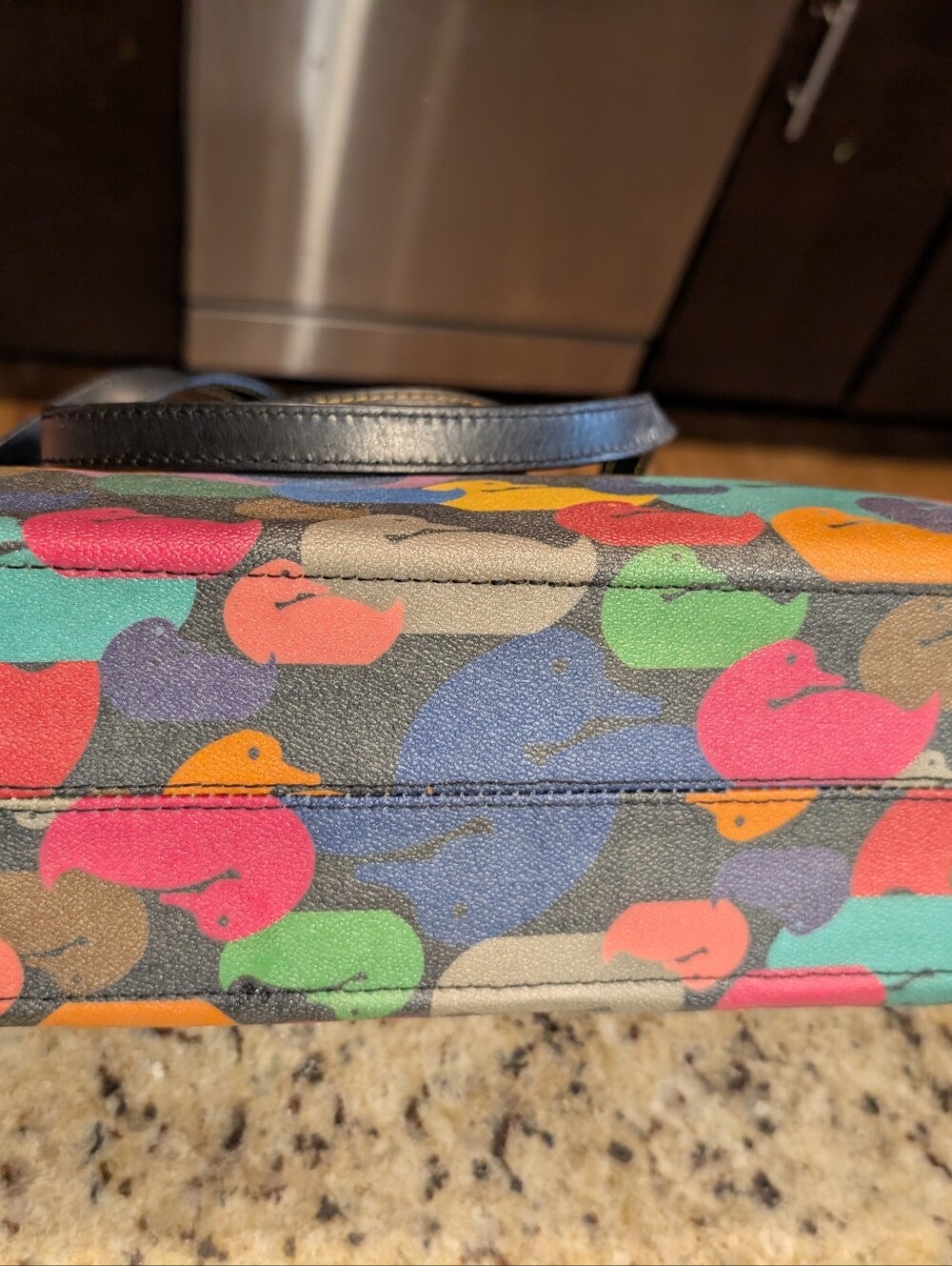 Dooney And Bourke Vintage Rainbow Duck - Picture 6 of 12